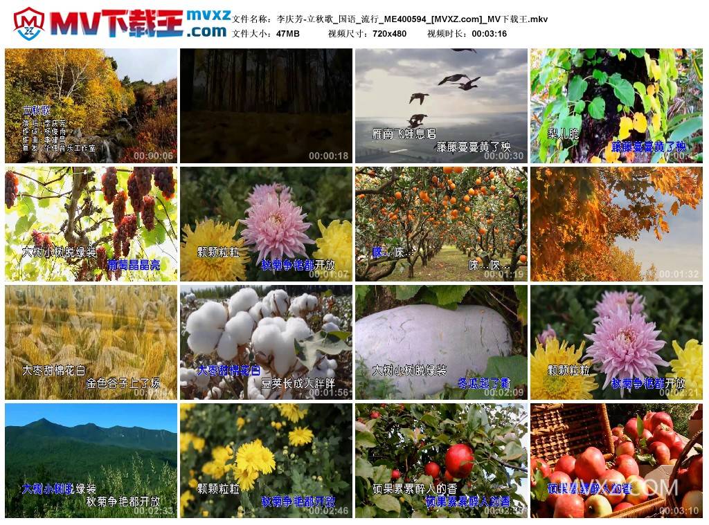 李庆芳-立秋歌_国语_流行_ME400594